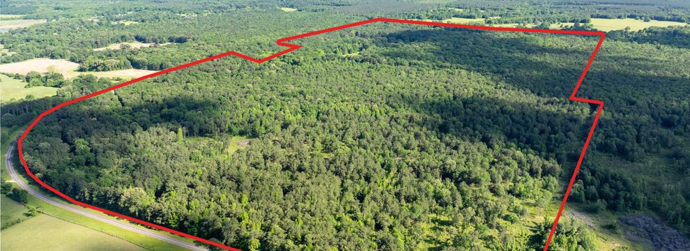 Undeveloped Land for sale in Red River County, Texas