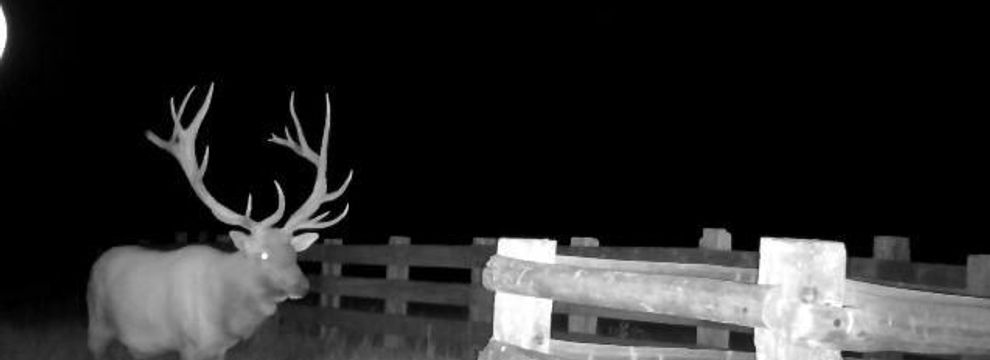 Farm and Ranch for sale in Yellowstone County, Montana