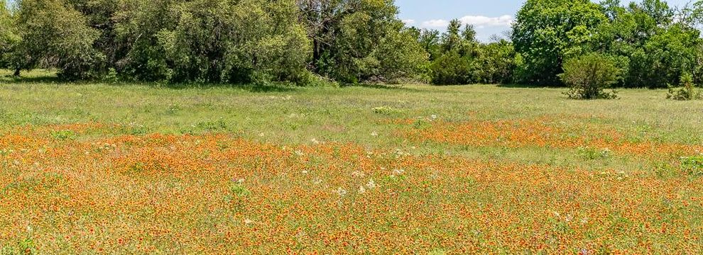 Timberland Property for sale in Parker County, Texas
