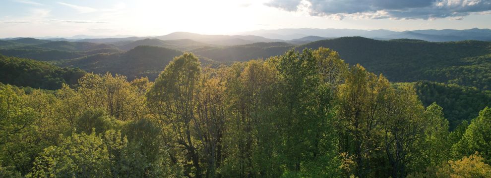 Farm and Ranch for sale in Henderson County, North Carolina