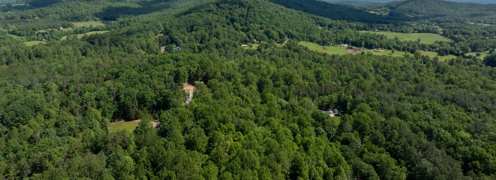 Timberland Property for sale in Rappahannock County, Virginia