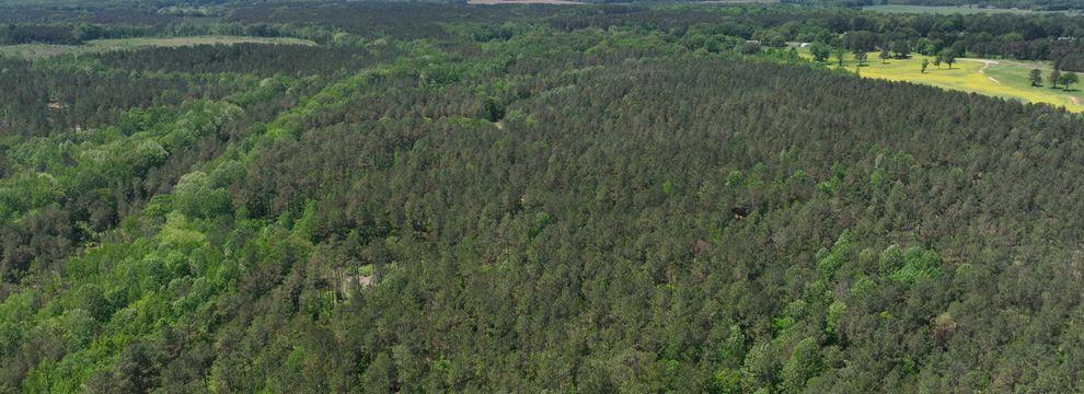 Land for sale in Alcorn County, Mississippi