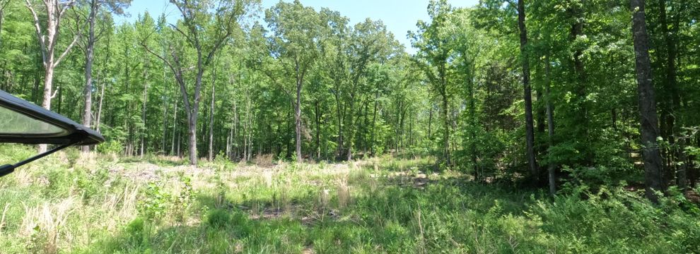 Land for sale in Alcorn County, Mississippi