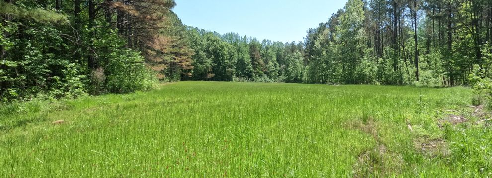 Land for sale in Alcorn County, Mississippi