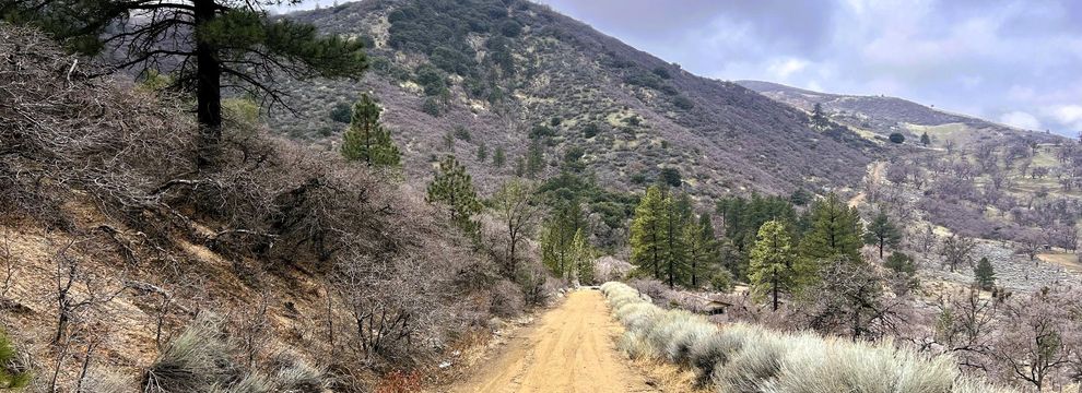 Undeveloped Land for sale in Kern County, California
