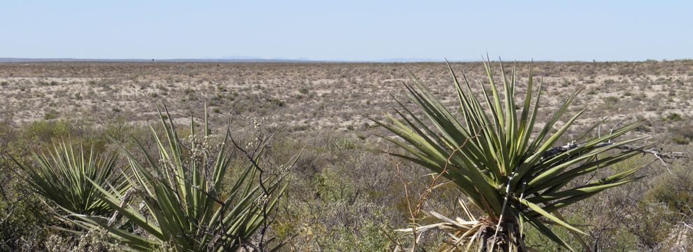 Timberland Property for sale in Terrell County, Texas