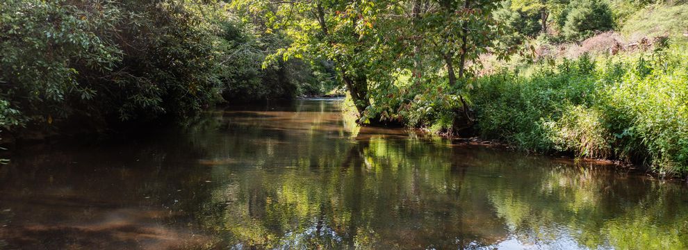 Farm and Ranch for sale in Carroll County, Virginia
