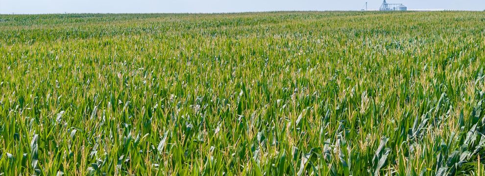 Recreational Property for sale in Red River County, Texas