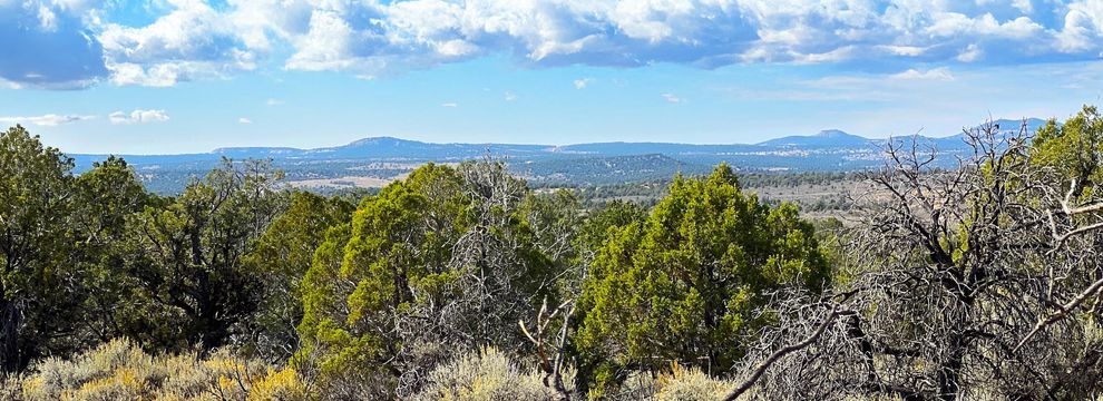 Farm and Ranch for sale in San Juan County, New Mexico