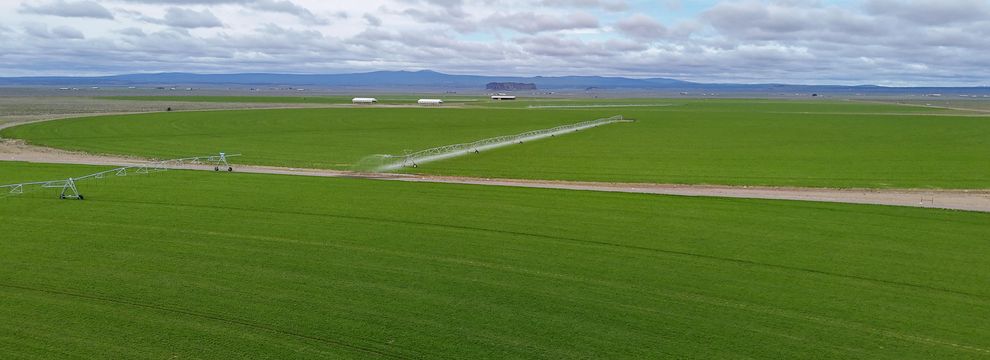 Timberland Property for sale in Lake County, Oregon
