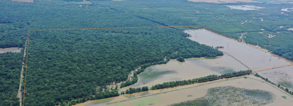 Farm and Ranch for sale in Monroe County, Arkansas