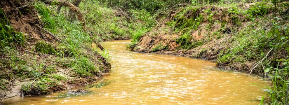 Undeveloped Land for sale in Anderson County, Texas