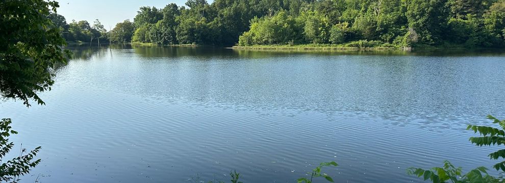 Timberland Property for sale in Scott County, Kentucky