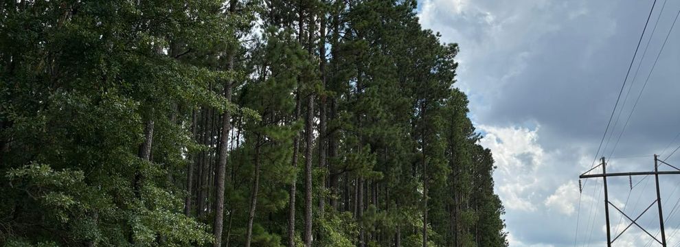 Farm and Ranch for sale in Aiken County, South Carolina