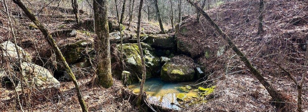 Timberland Property for sale in Le Flore County, Oklahoma