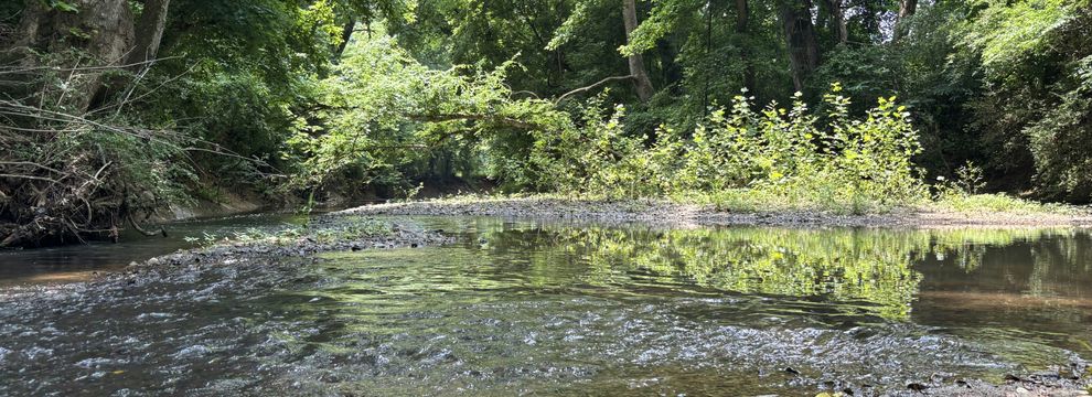 Timberland Property for sale in Cabarrus County, North Carolina