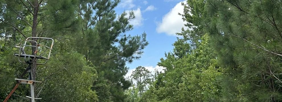Farm and Ranch for sale in Pamlico County, North Carolina