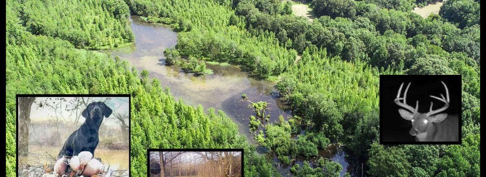Recreational Property for sale in Quitman County, Mississippi