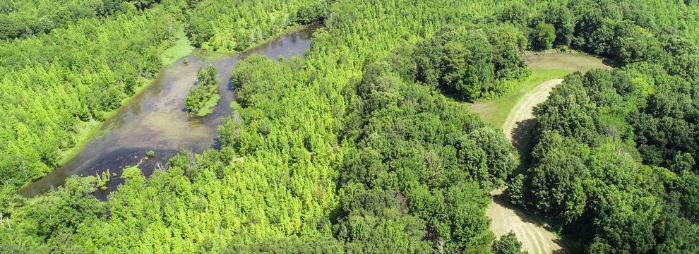 Farm and Ranch for sale in Quitman County, Mississippi