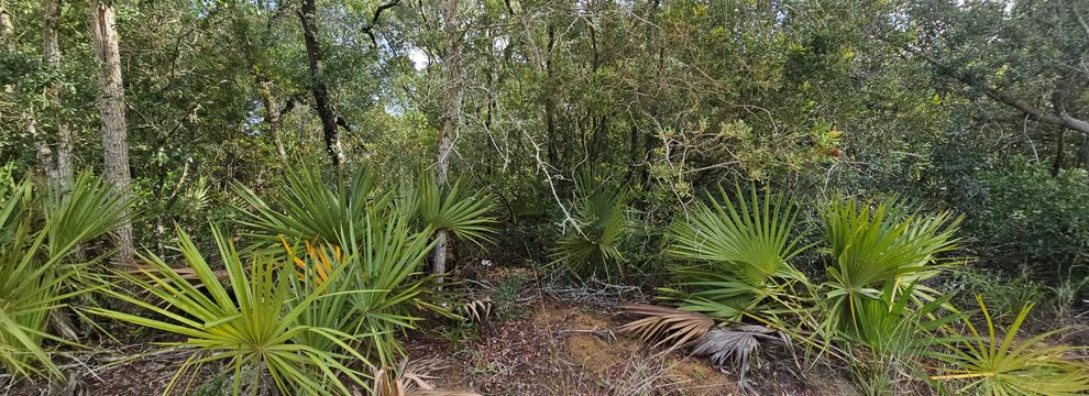 Farm and Ranch for sale in Marion County, Florida