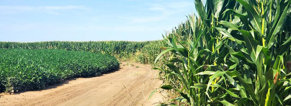 Farm and Ranch for sale in Coahoma County, Mississippi
