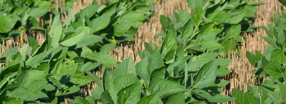 Land for sale in Osage County, Kansas