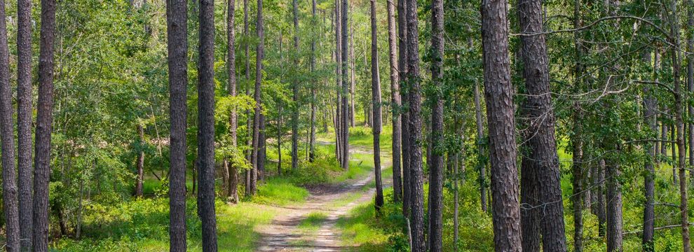 Farm and Ranch for sale in Tattnall County, Georgia