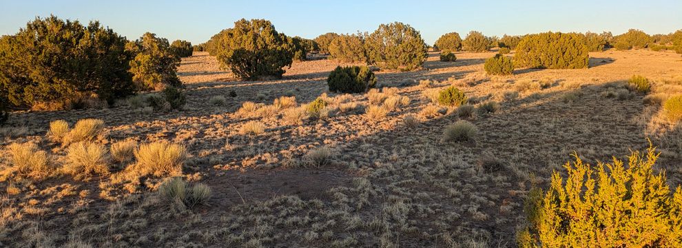 Land for sale in Apache County, Arizona
