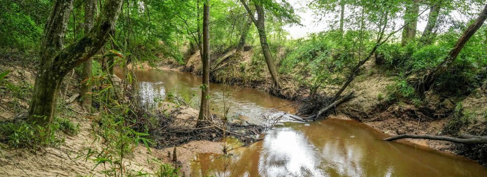Hunting Property for sale in Sabine County, Texas