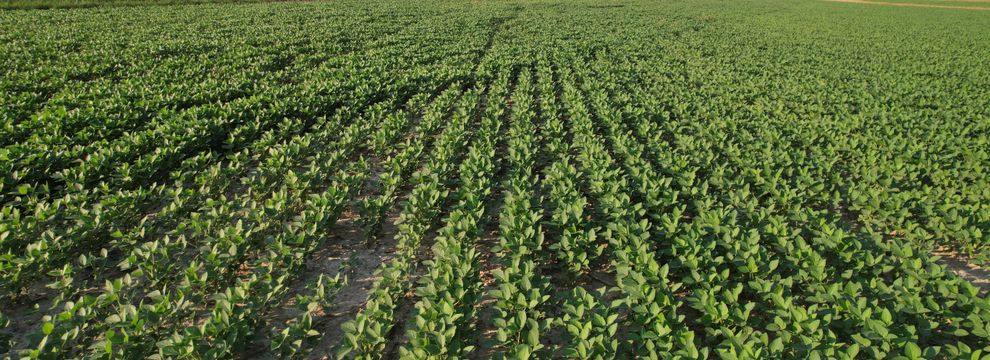 Farm and Ranch for sale in Pope County, Illinois