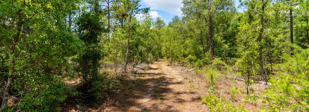 Commercial Property for sale in Putnam County, Florida