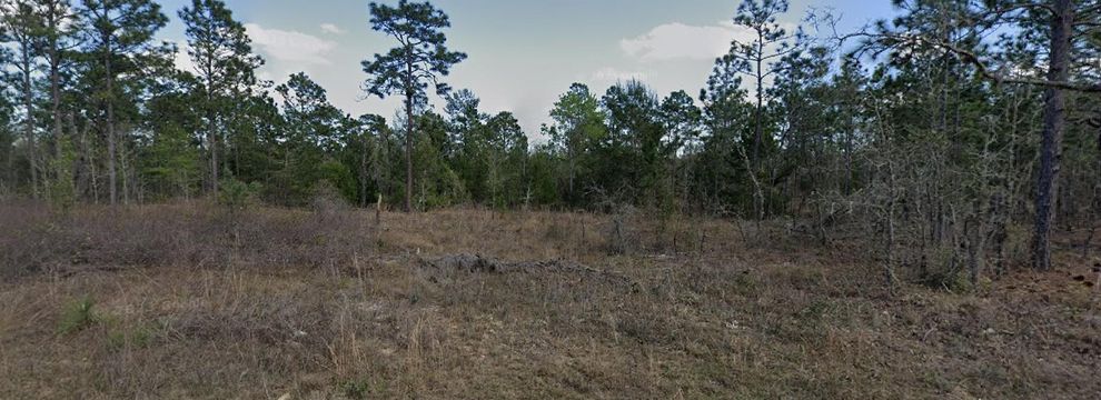 Homesite for sale in Putnam County, Florida
