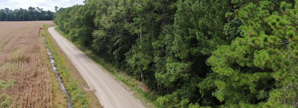 Timberland Property for sale in Horry County, South Carolina