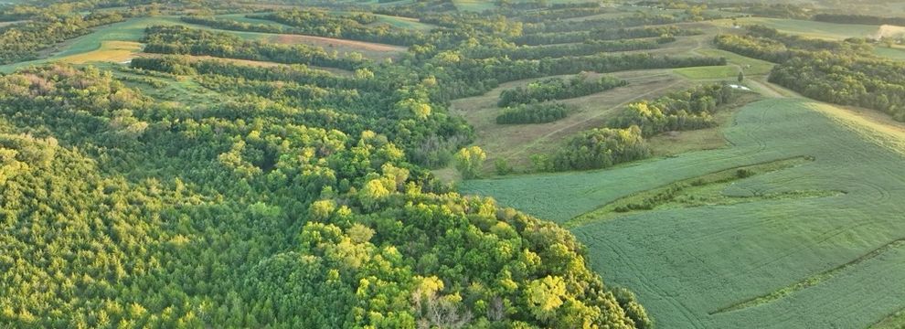 Timberland Property for sale in Mercer County, Missouri