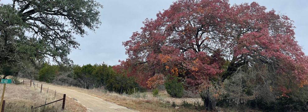 Land for sale in Kimble County, Texas