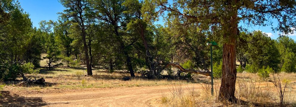 Farm and Ranch for sale in Cibola County, New Mexico