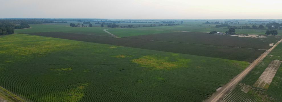 Timberland Property for sale in Dunklin County, Missouri