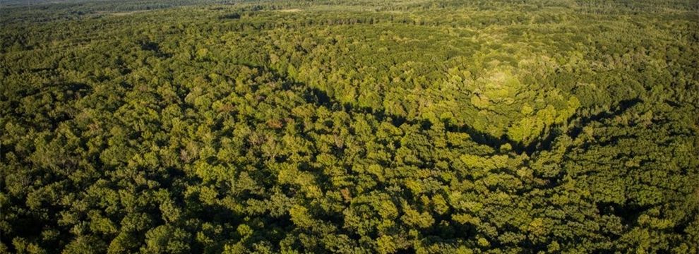 Undeveloped Land for sale in Sawyer County, Wisconsin