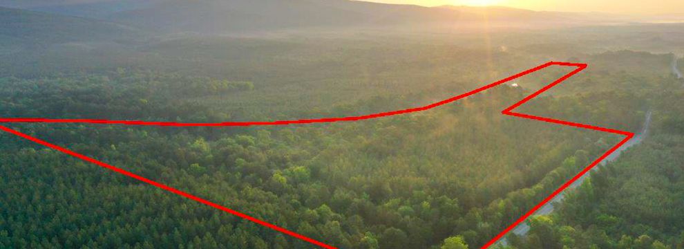 Timberland Property for sale in Pushmataha County, Oklahoma