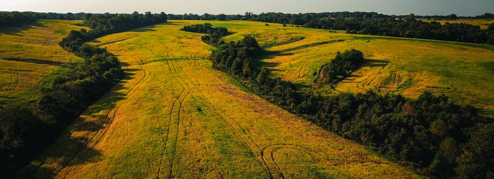 Farm and Ranch for sale in Pope County, Illinois