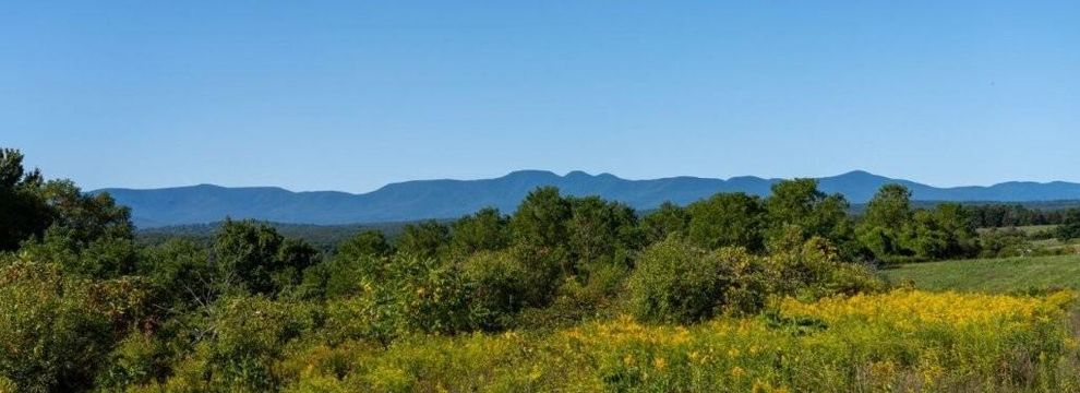 Recreational Property for sale in Greene County, New York
