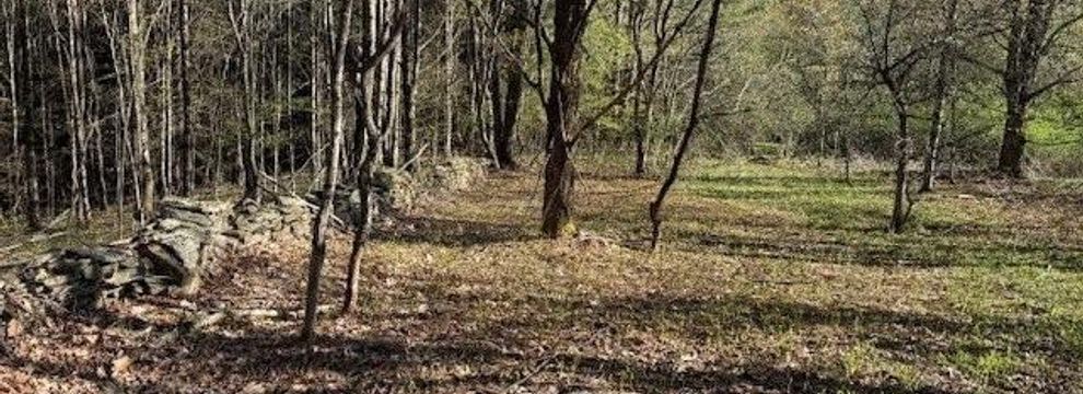 Land for sale in Broome County, New York