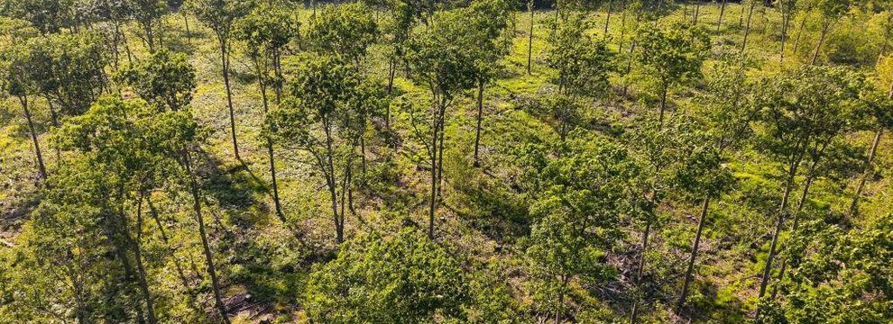 Horse Property for sale in Sawyer County, Wisconsin