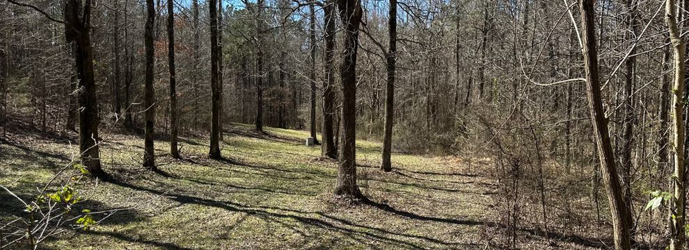 Recreational Property for sale in Lafayette County, Mississippi