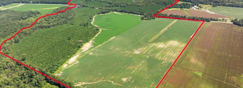 Recreational Property for sale in Screven County, Georgia