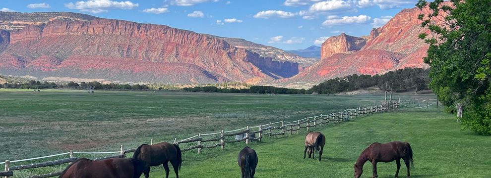 Land for sale in Mesa County, Colorado