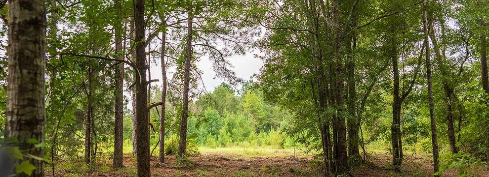 Farm and Ranch for sale in Henry County, Alabama