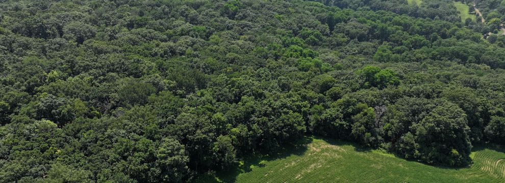 Farm and Ranch for sale in Dane County, Wisconsin