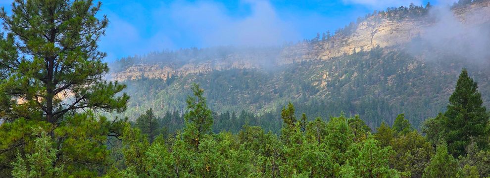 Undeveloped Land for sale in Rio Arriba County, New Mexico