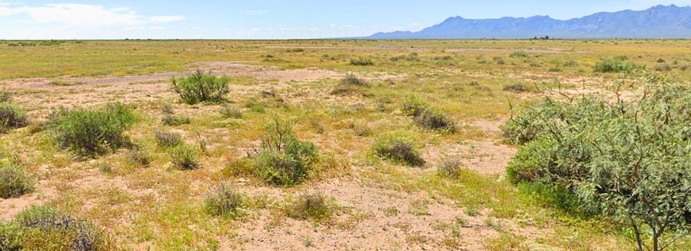 Undeveloped Land for sale in Luna County, New Mexico